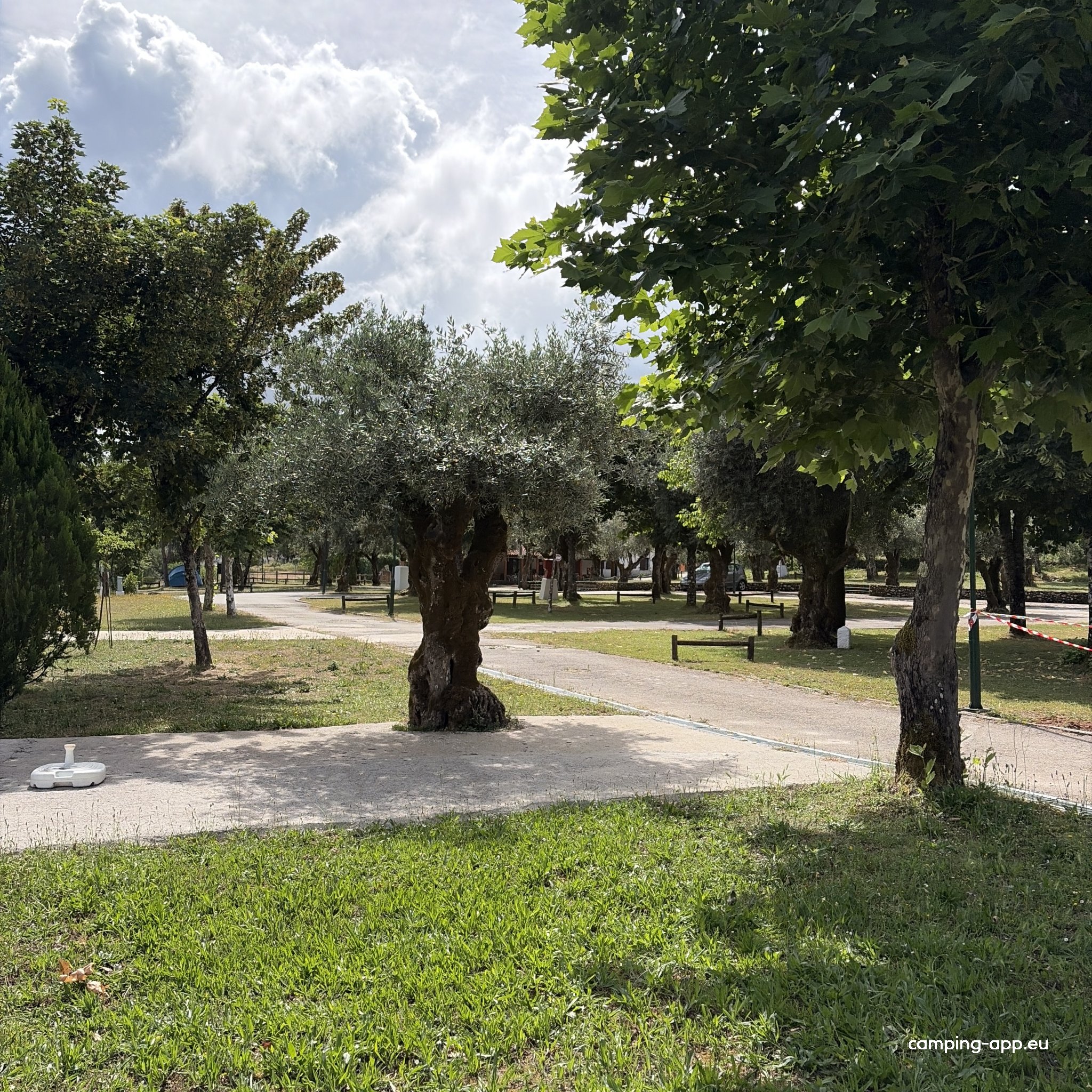 Parque de Campismo de Coja — Photo 3