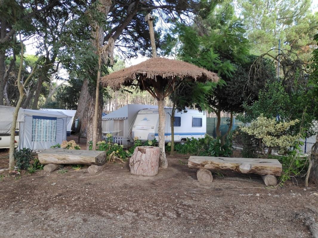 Parque de Campismo de Escaroupim — Camping in Salvaterra de Magos 