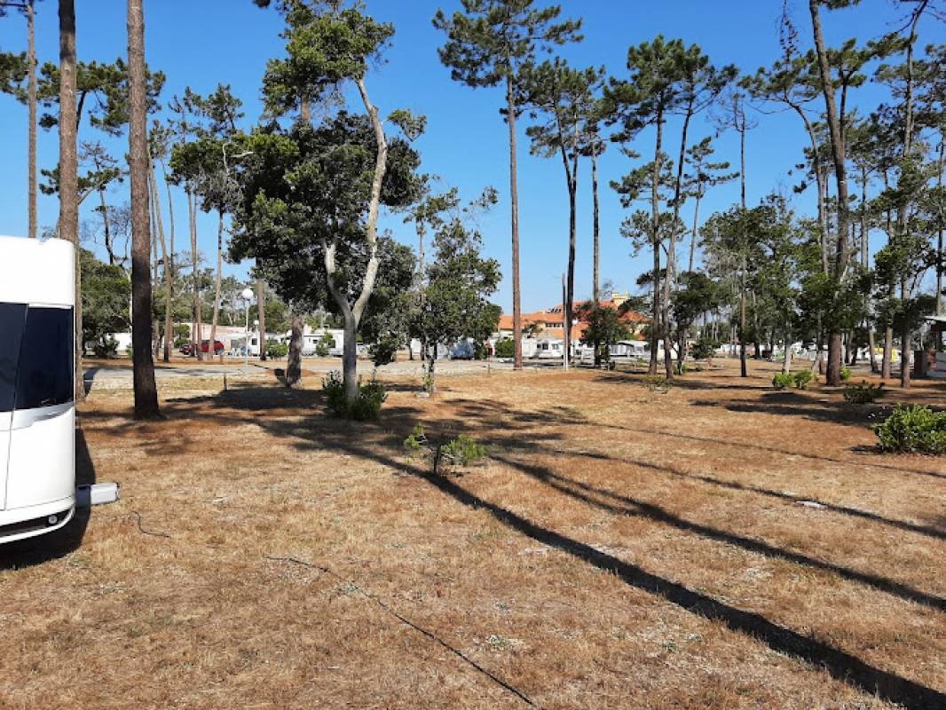 Mira Lodge Park — Campingplatz in Praia de Mira