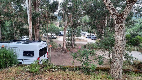 Pelinos 77 — Photo 5