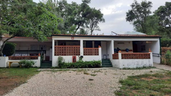 Pelinos 77 — Photo 4