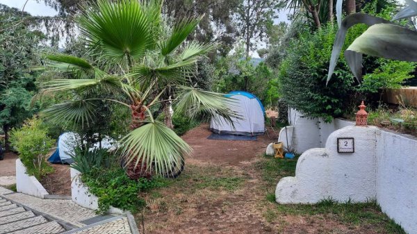 Pelinos 77 — Photo 3