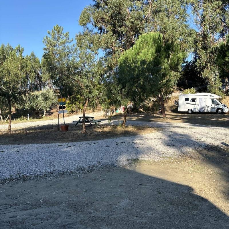 Pelinos 77 — Campingplads in Tomar