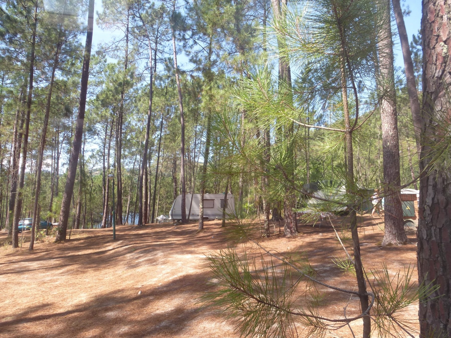 Lima Escape / Parque de Campismo de Entre Ambos-os-Rios — Camping Site in Entre Ambos-os-Rios