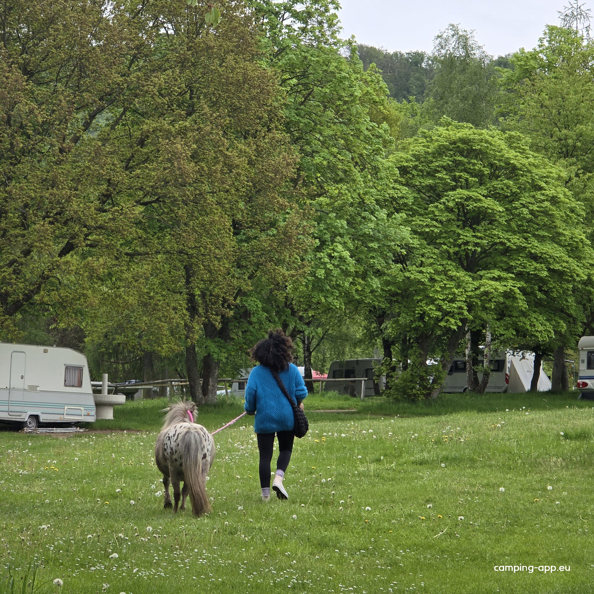 Camping Edersee Paradies — Foto 2