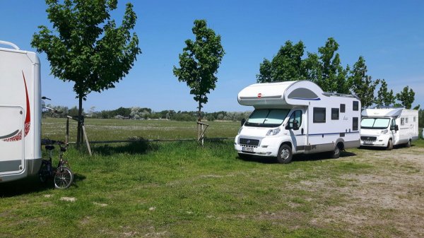 Stellplatz Muschelweg Graal-Müritz — Photo 6