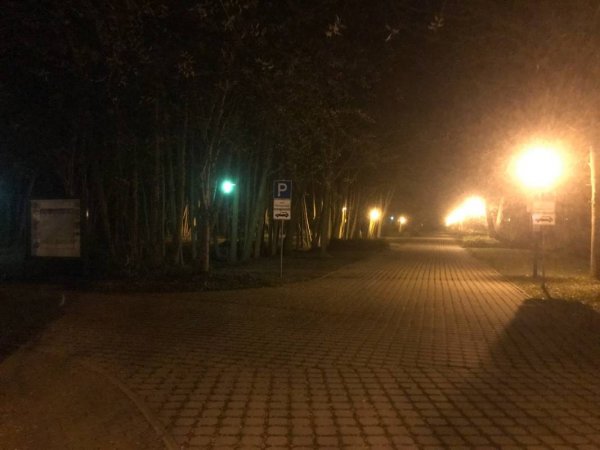 Stellplatz Muschelweg Graal-Müritz — Photo 5