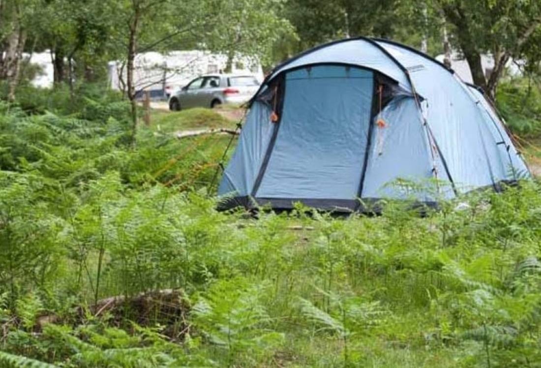 Matley Wood Campsite, New Forest — Camping in Lyndhurst