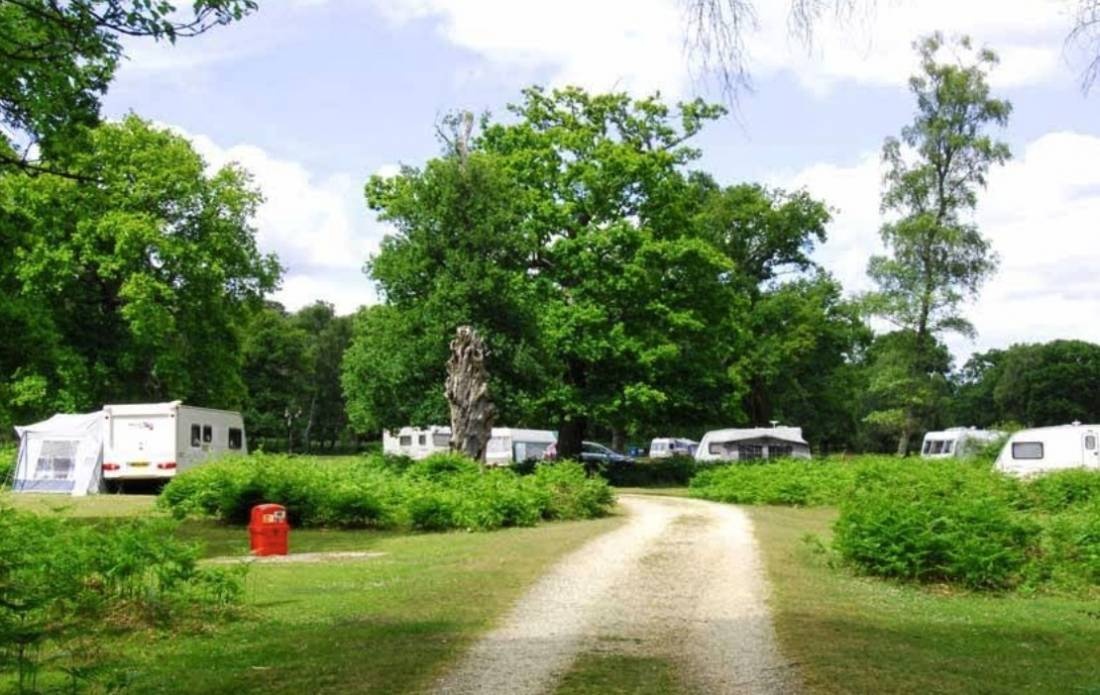Matley Wood Campsite, New Forest — Sítio de acampamento in Lyndhurst