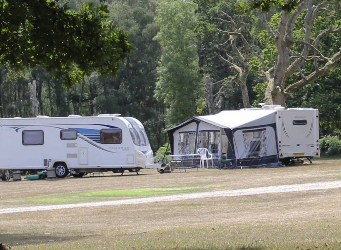 Denny Wood Campsite, New Forest — Camping in Lyndhurst