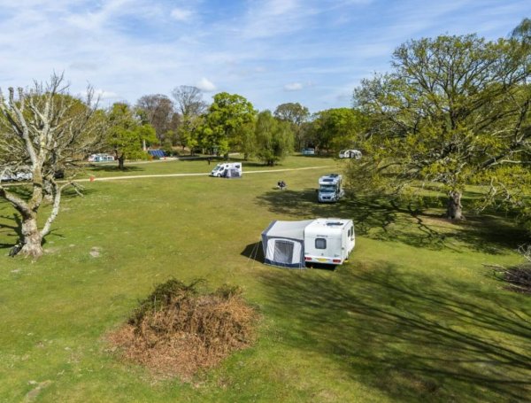 Denny Wood Campsite, New Forest — Photo 2