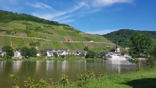 Stellplatz An der Fußgängerbrücke Zell-Kaimt — Sítio para autocaravanas in Zell (Mosel)-Kaimt