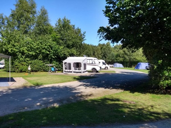 Delamere Forest Camping and Caravanning Club Site — Photo 2
