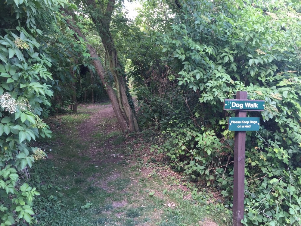 Cambridge Camping and Caravanning Club Site — Kemping in Great Shelford