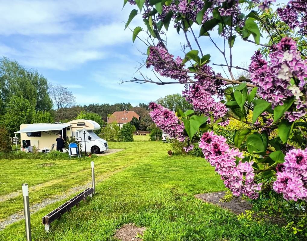 Stellplatz am Hütten Camp Döbern — QuickStop in Döbern