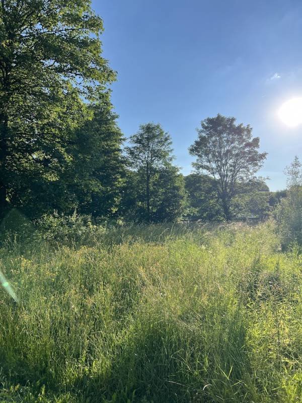 Stellplatz am Brauereigasthof Rothenbach Aufseß