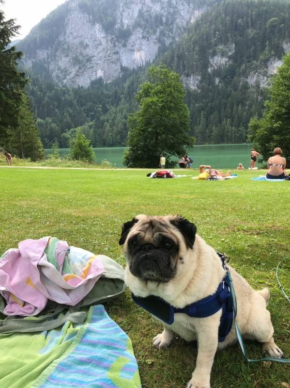 Campingplatz am Gleinkersee — Campingplatz in Roßleithen