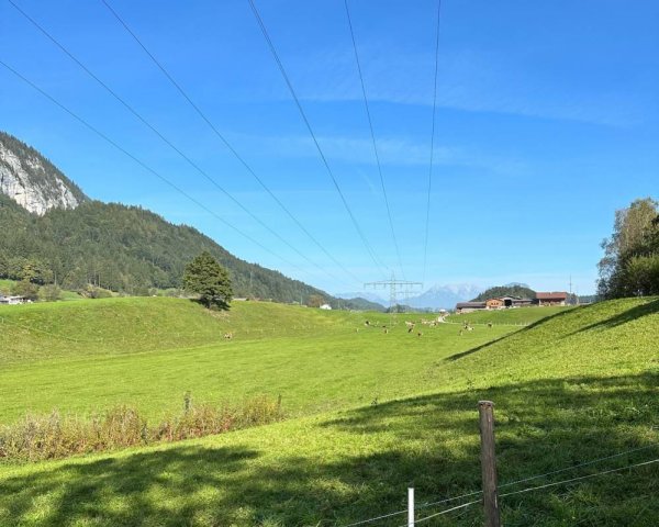 Camping Seeblick - Toni — Photo 5