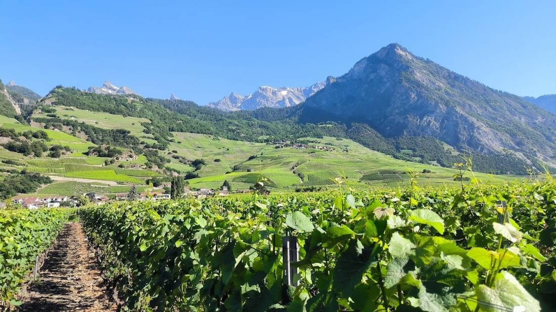 Stellplatz bei Bains de Saillon — Campervan Site in Saillon