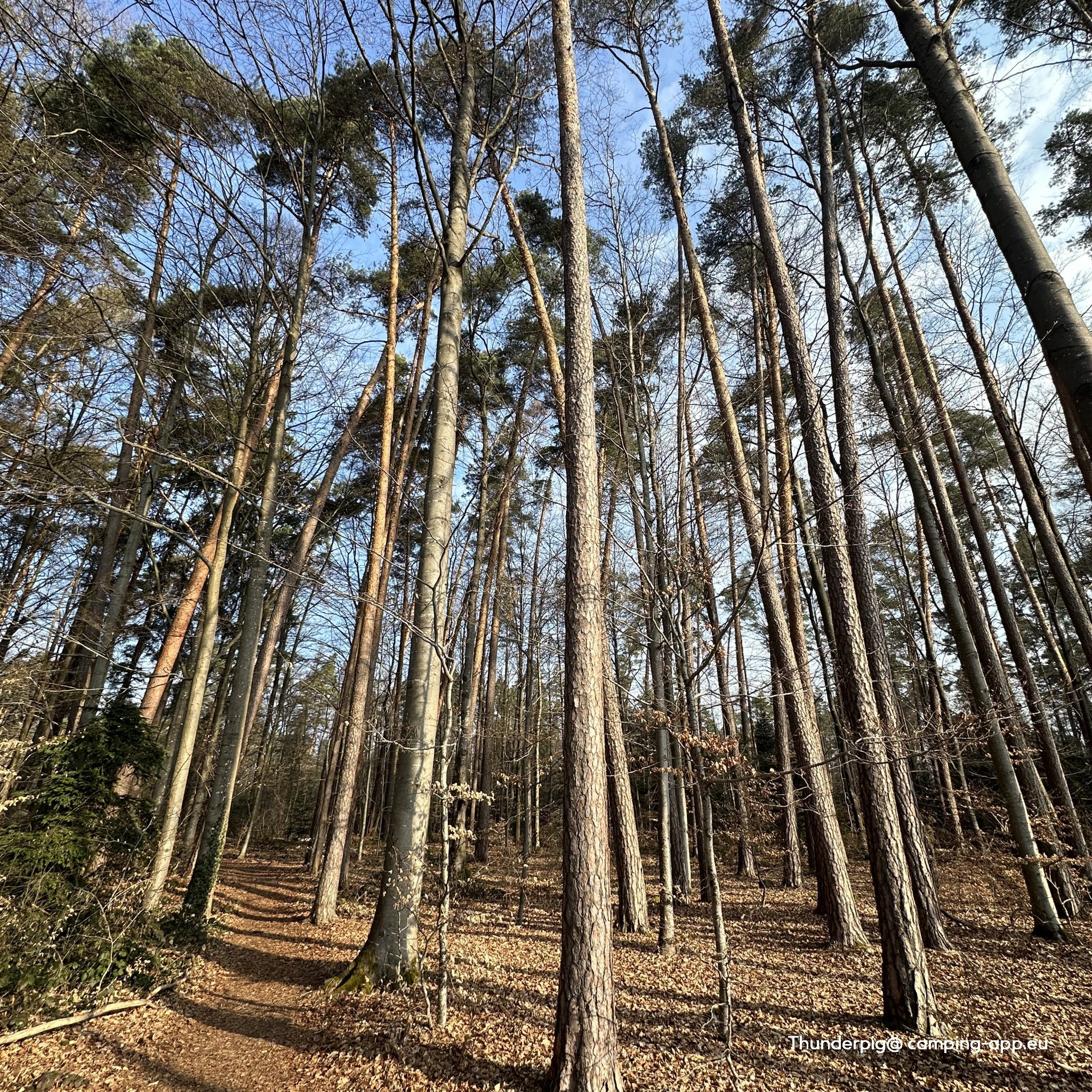 Stellplatz Wanderheim — Fotoğraf 2