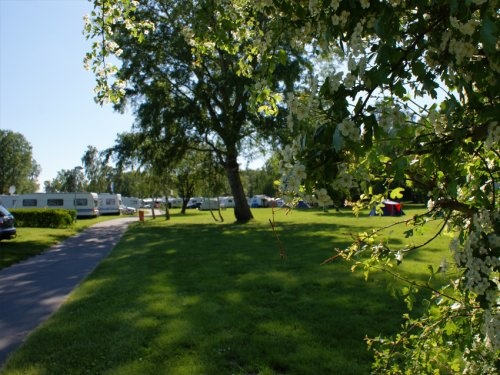 OstseeCamp Dierhagen — Cámping in Ostseebad Dierhagen Strand