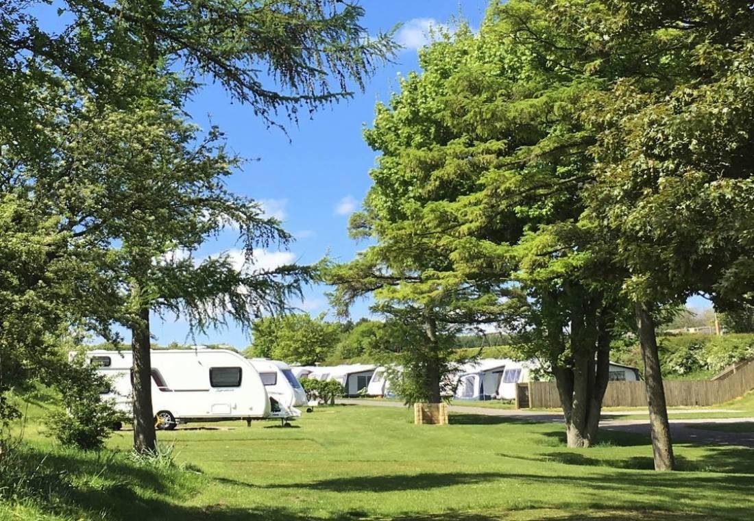 Golden Square Carvan & Camping Park — Campingplass in York