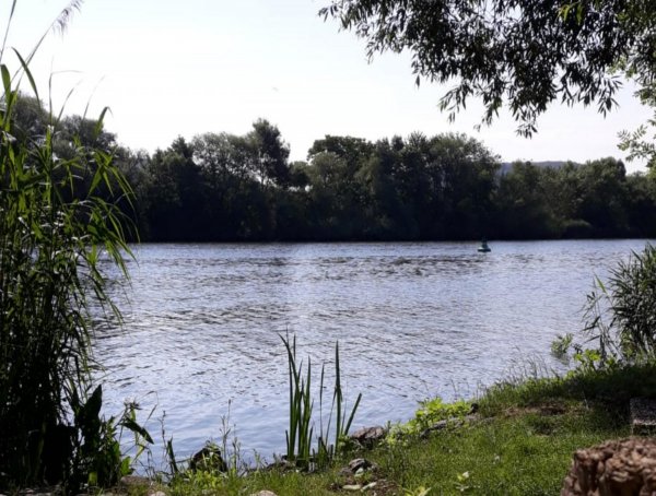 Campingplatz Kalte Quelle — Foto 4