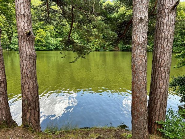 Campingplatz Urnhausen — Photo 2