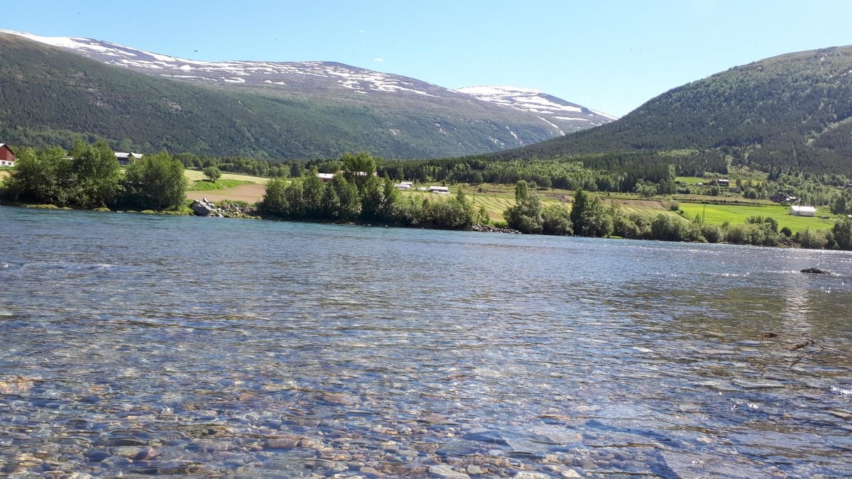 Bispen Camping — Campingplads in Skjåk