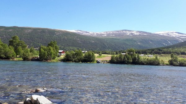 Bispen Camping — Photo 2