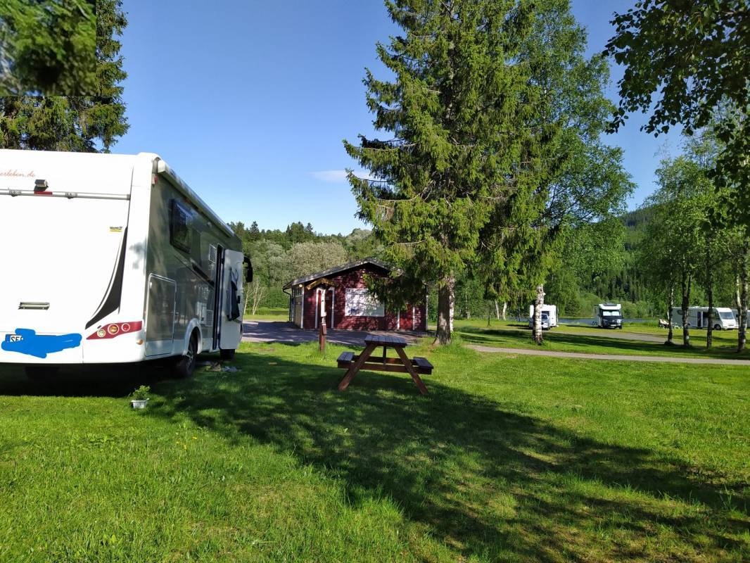 Bjerka Camping — Camping in Bjerka