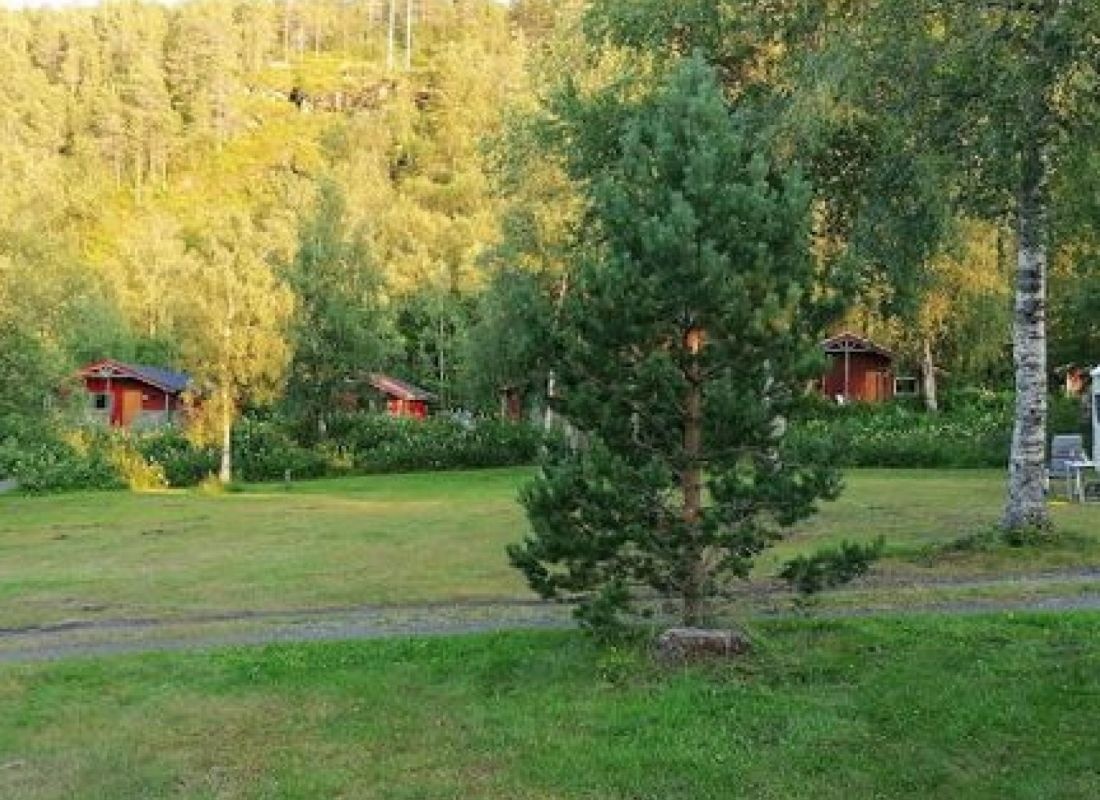 Fauske Camping & Motell — Area da campeggio in Fauske