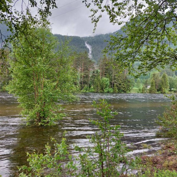 Flateland Camping og Hyttesenter ANS — Photo 3