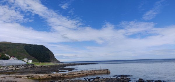 Goksøyr Camping — Photo 3