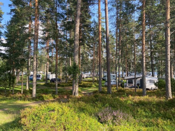 Hornnes Camping — Photo 4