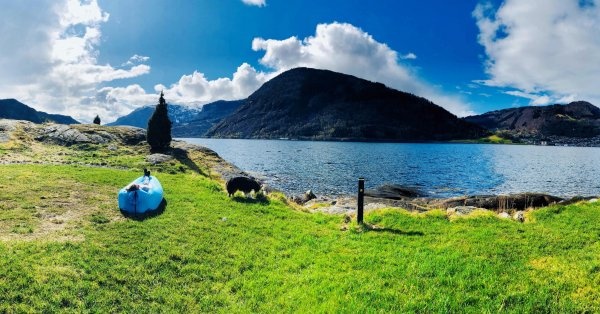 Kjørnes Camping og Fjordhytter — Campingplads in Sogndal