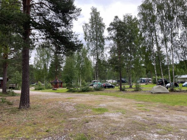 Koppang Camping & Hytteutleie — Photo 5