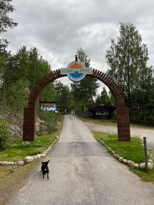 Koppang Camping & Hytteutleie — Photo 4