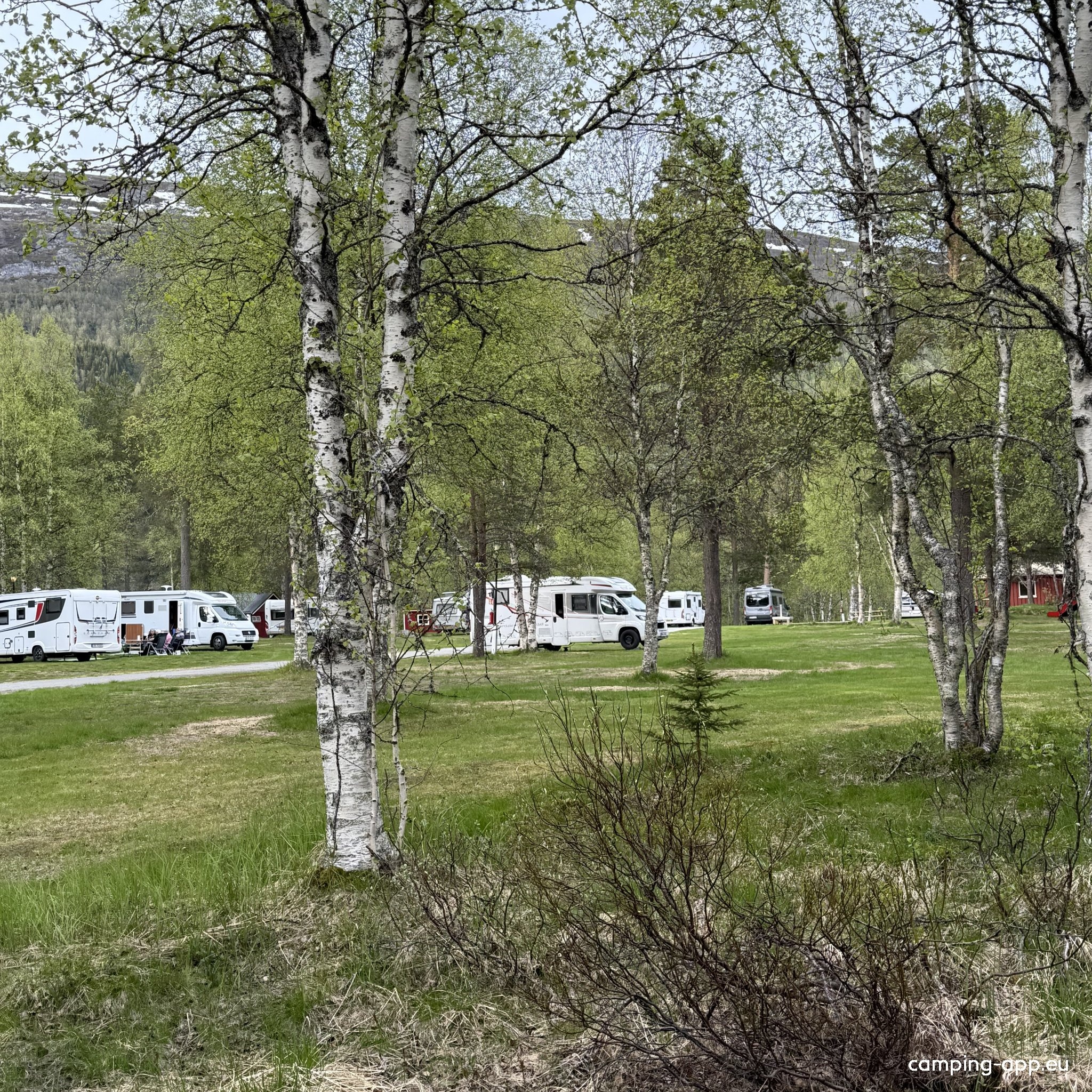 Krokstrand Camping — Kemping in Storforshei