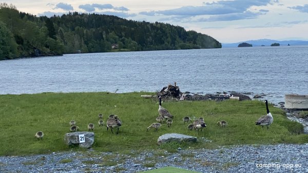 Kvam Motell & Camping — Photo 6