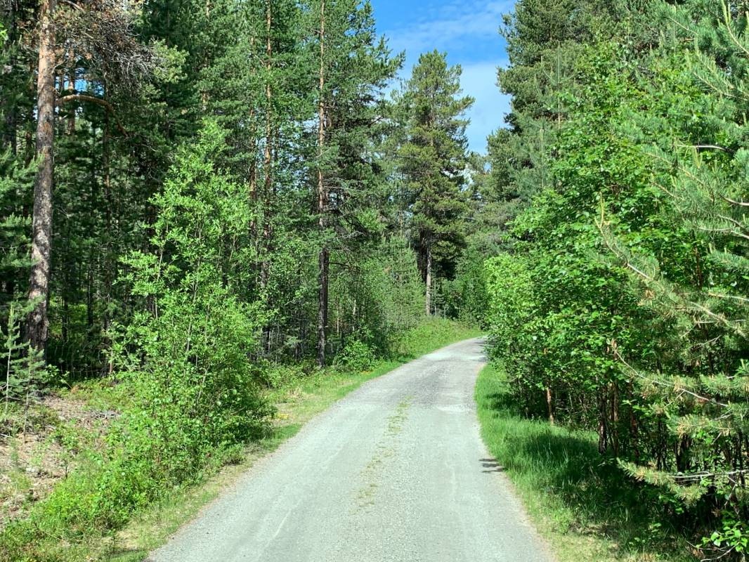 Skåbu Hyttegrend — Camping in Skåbu