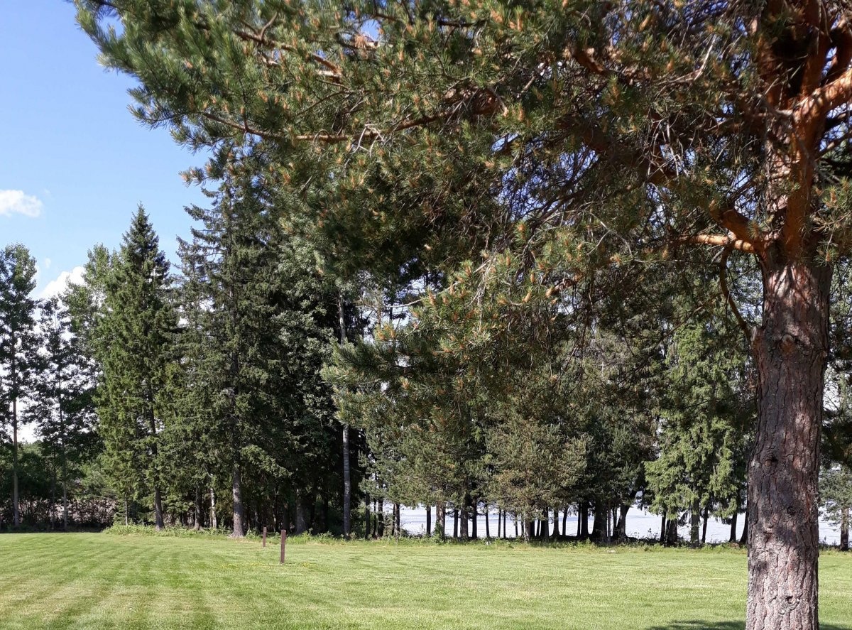 Songnabben Camping — 露营地 in Sagstua