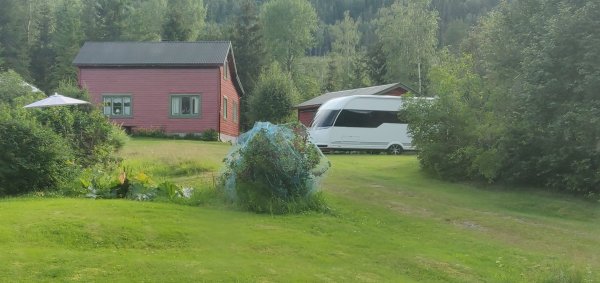 Stavn Camping og Hytter — Photo 2