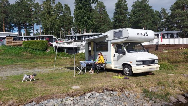 Tangenodden Camping — Photo 2
