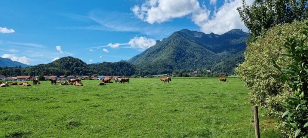 Wohnmobilstellplatz am Weßner Hof Marquartstein — Foto 2