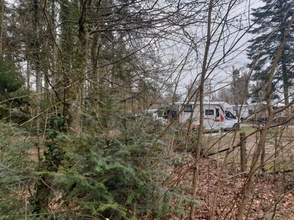 Camping Martbusch — Photo 2