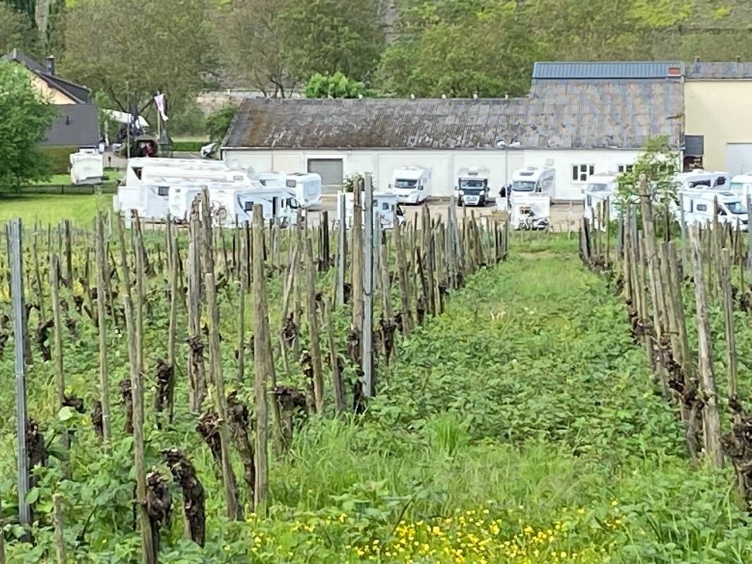 Stellplatz Ernst Vinothek Rondell — Winiarnia in Ernst