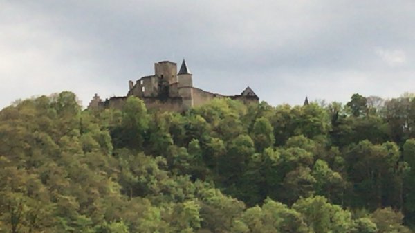 Camping du Moulin — Photo 3