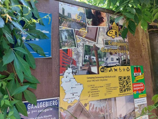 Camping Gaalgeebierg Asbl — Photo 2