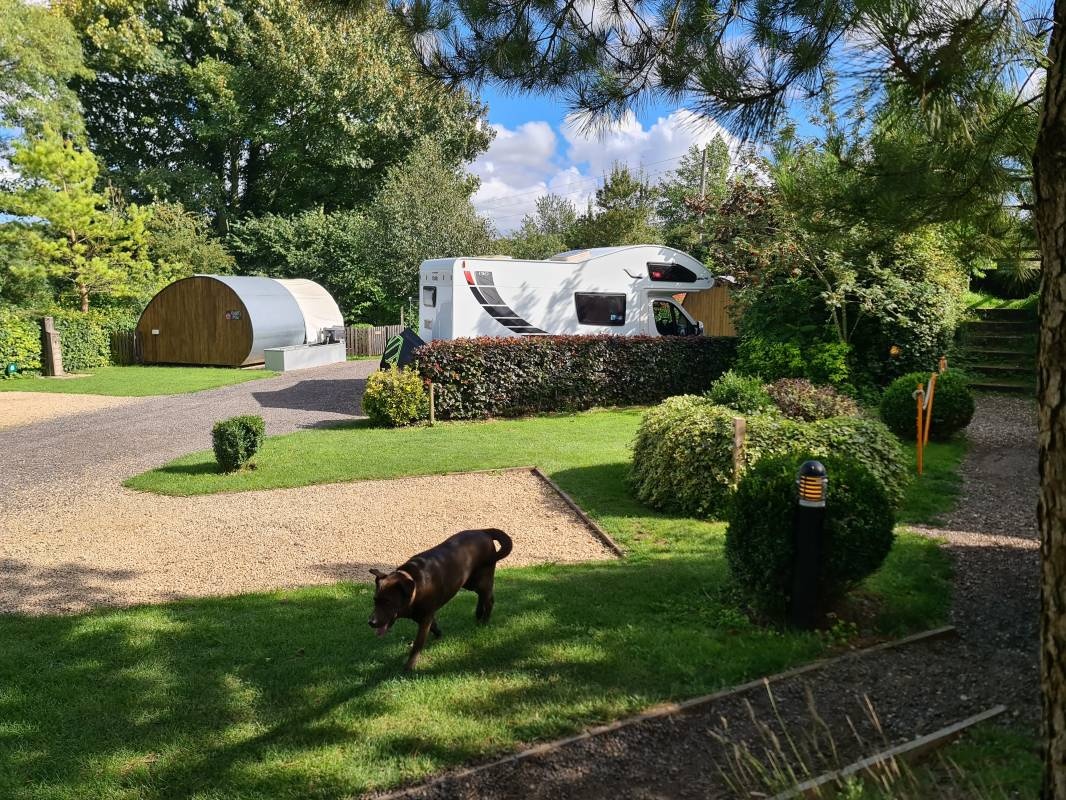 Stonehenge Campsite & Glamping — Cámping in Salisbury